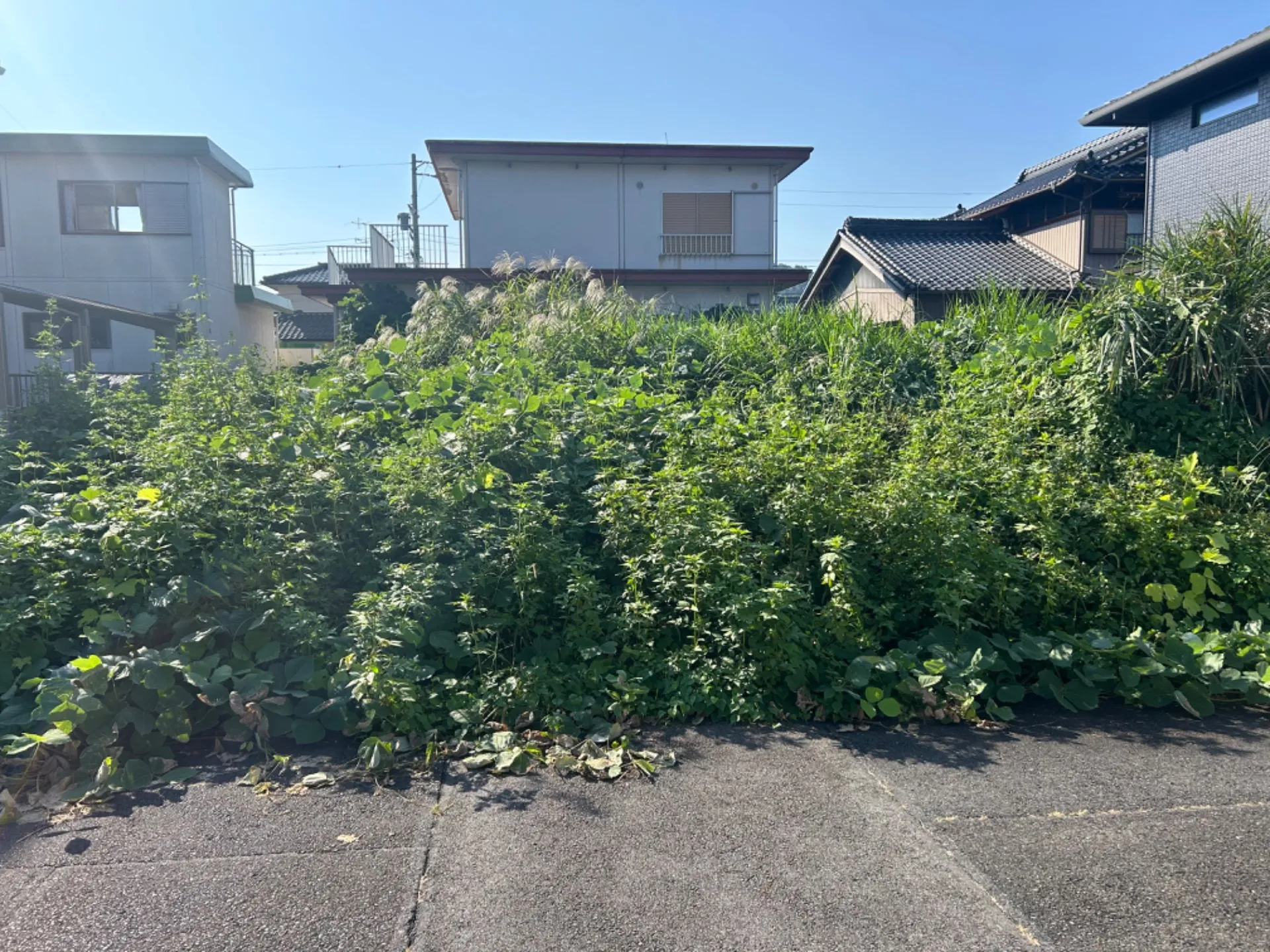 空き地草刈りの実績報告